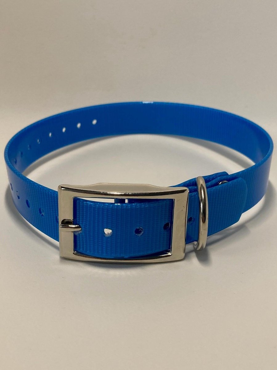 Halsband BioThane GOLD Transparant - (licht) BLAUW - 600mmX25mm - dubbele gesp