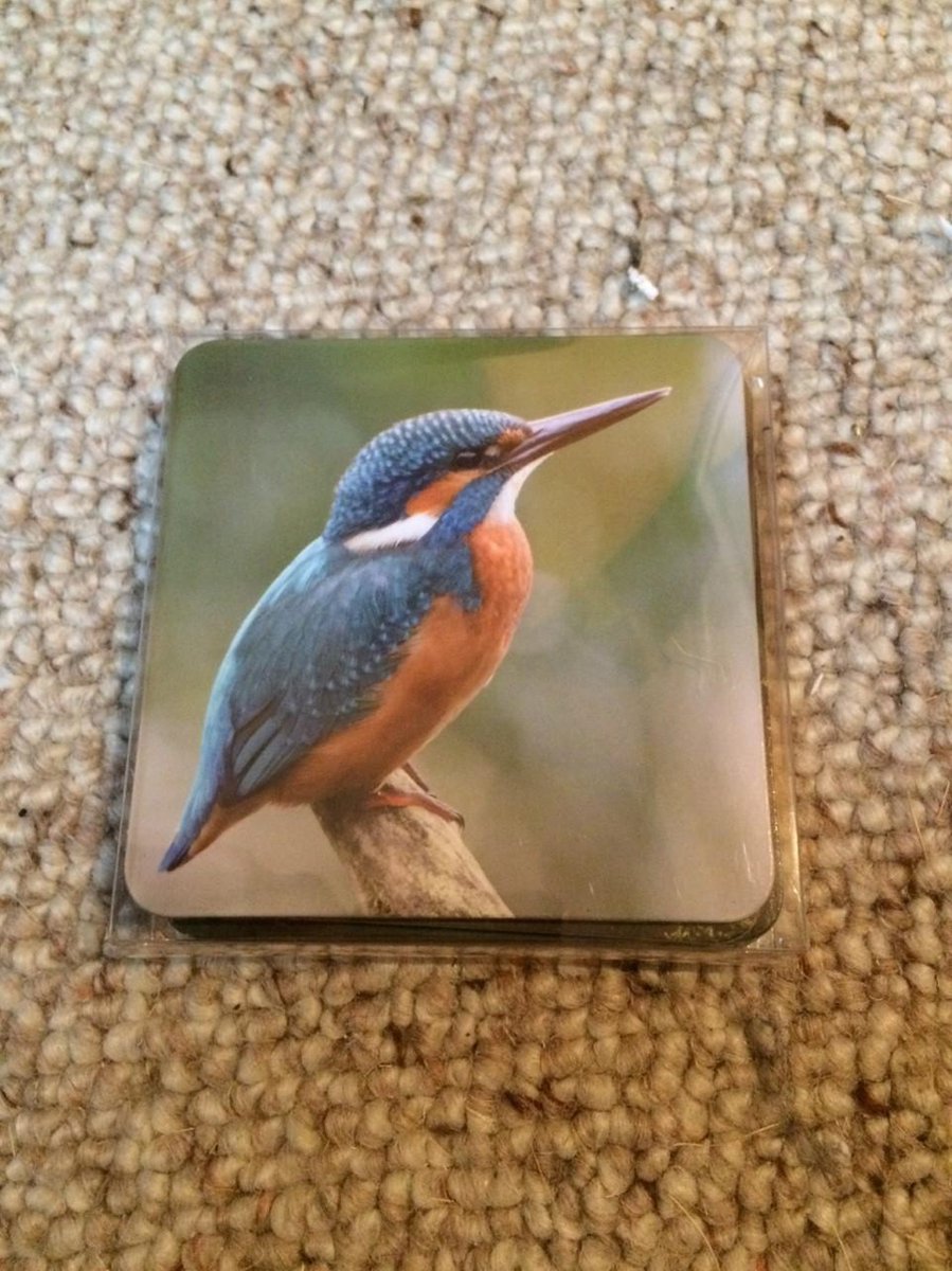 Onderzetters Ijsvogel set/4