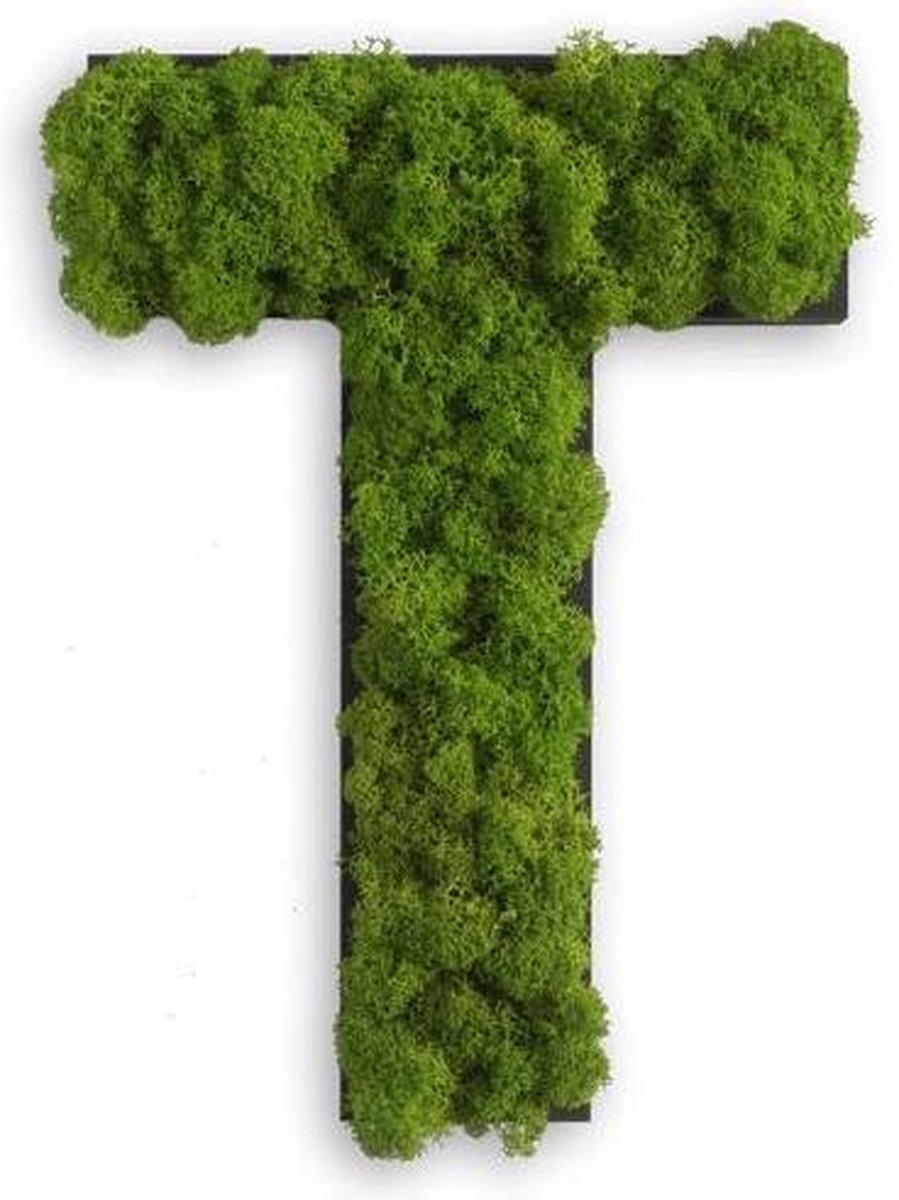 Stylegreen Alfabet letters A t/m Z - Reindeer moss - 25cm