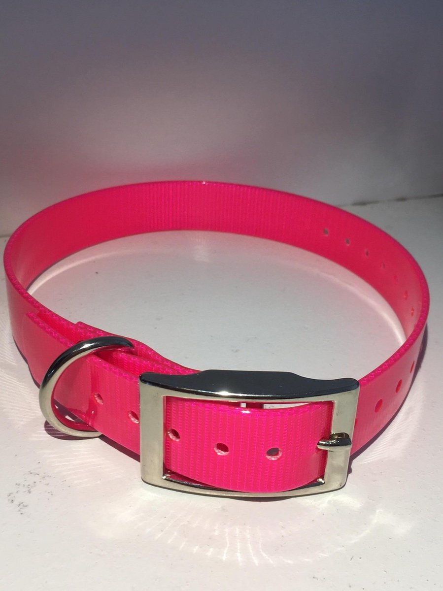 Halsband BioThane GOLD Transparant - ROZE - 600mmX25mm - dubbele gesp