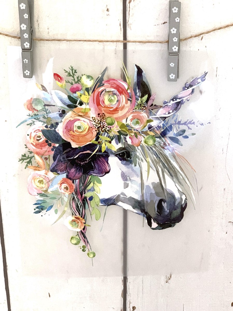 MixG | Grote Strijkapplicatie (19 x 23 cm) | Unicorn/Eenhoorn | Vrouw / Meisje