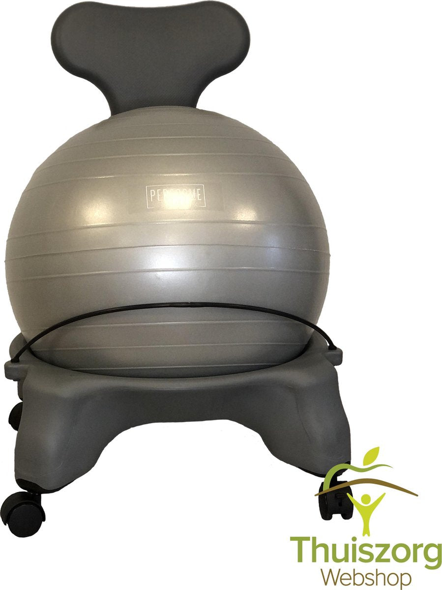 Fit-Chair balstoel: Grijs