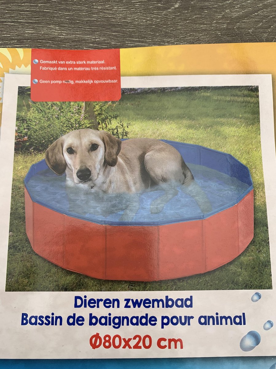 Honden zwembad / dieren zwembad dog pool 80 x 80 x 20 Cm in handige tas