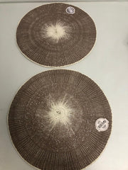 Placemats - twee stuks