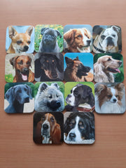 Kleintje Twee=Oke Honden