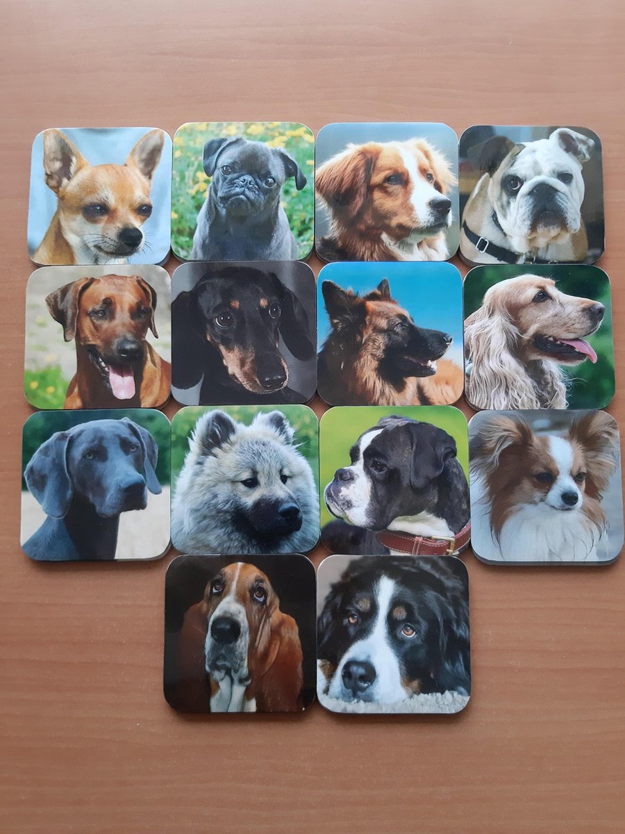 Kleintje Twee=Oke Honden