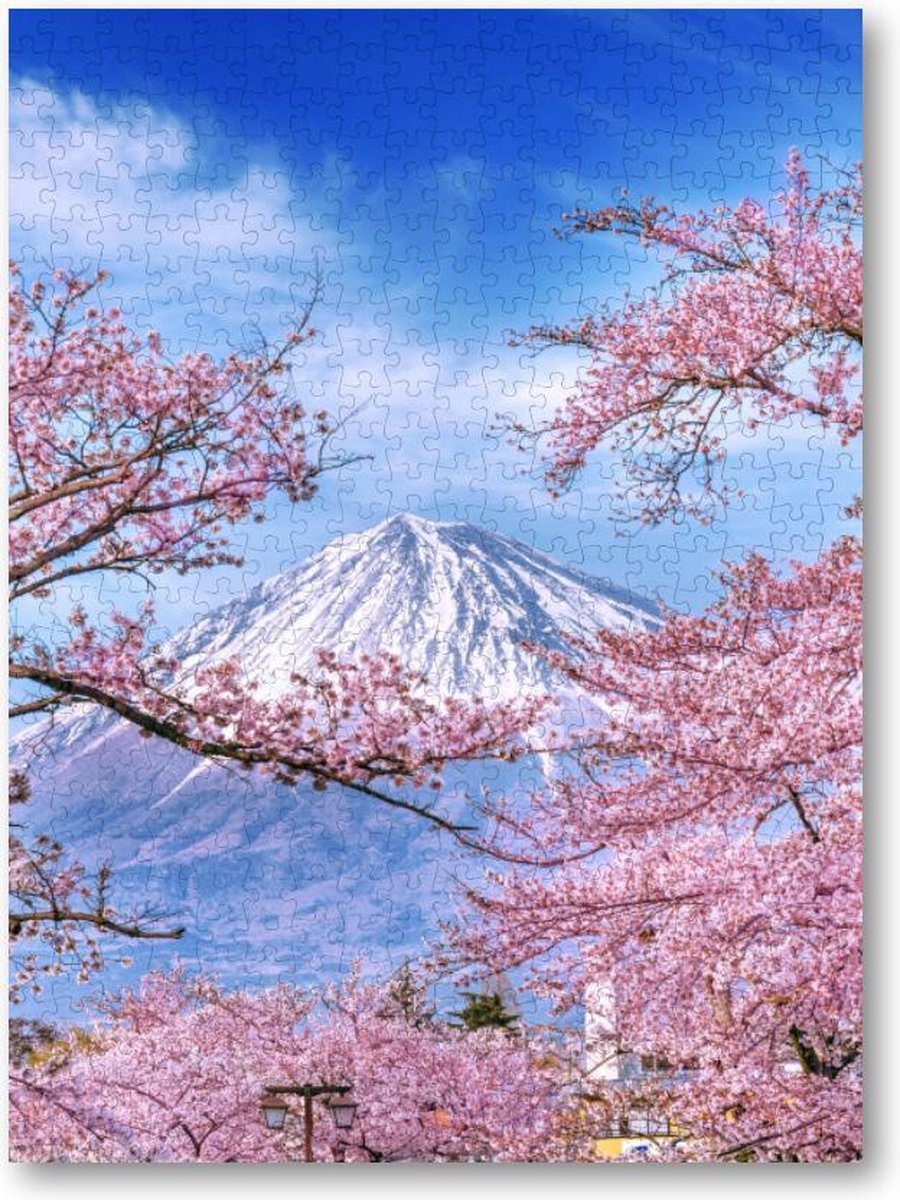 Fuji-berg en kersenbloesems in de lente