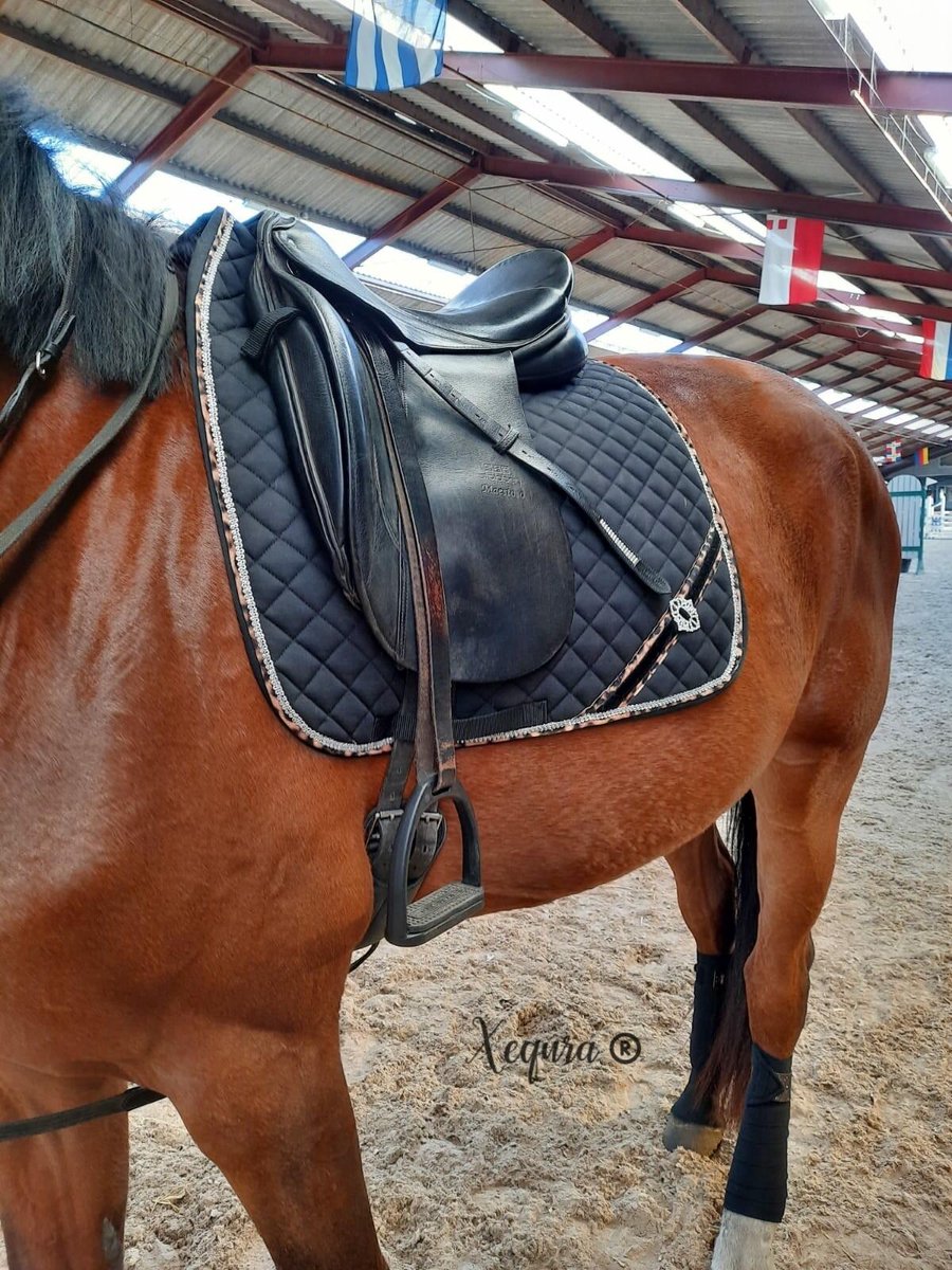 Dresuur zadeldek Zwart/Panter - FULL- Dekje- Handmade - Panter - Zwart   - Recreactie - Wedstrijd - Paard - pony - dressuur