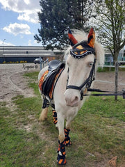 Tijger Print Oornetje - Cob -  Dressuur - Recreatie - Springen - Sport