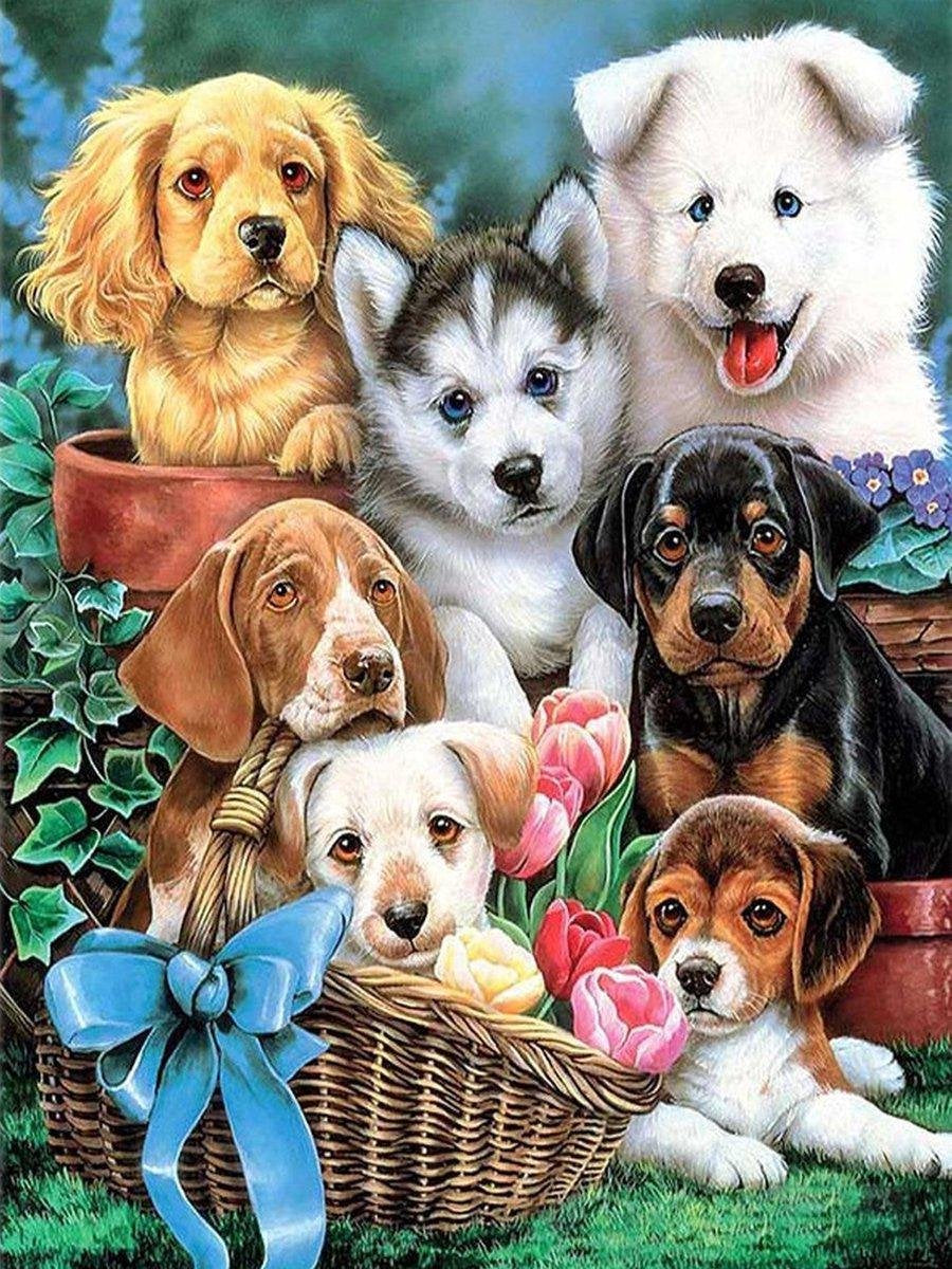 FlinQ Diamond Painting Schattige Puppy's 30*40cm