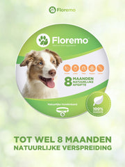 Floremo - Vlooienband Hond - Vlooien - Vlooienspray - Vlooienband - Vlooien hond - Diervriendelijk - Verstelbaar