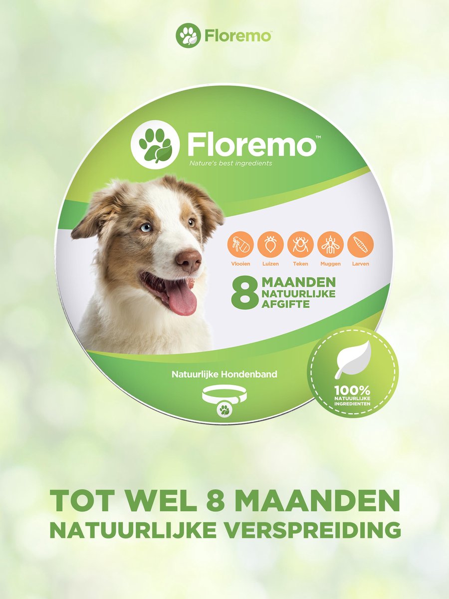 Floremo - Vlooienband Hond - Vlooien - Vlooienspray - Vlooienband - Vlooien hond - Diervriendelijk - Verstelbaar