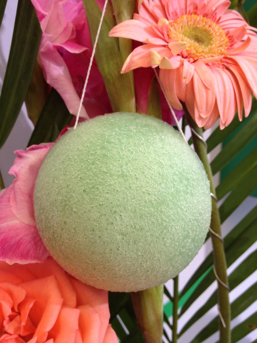 100% Biologische Konjac Sponge Aloe Vera met 4% Actief Ingrediënt