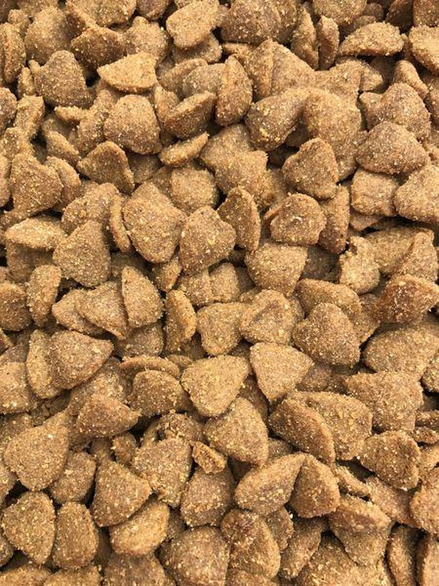 Budget premium brok kat lam kattenvoer 15 kg