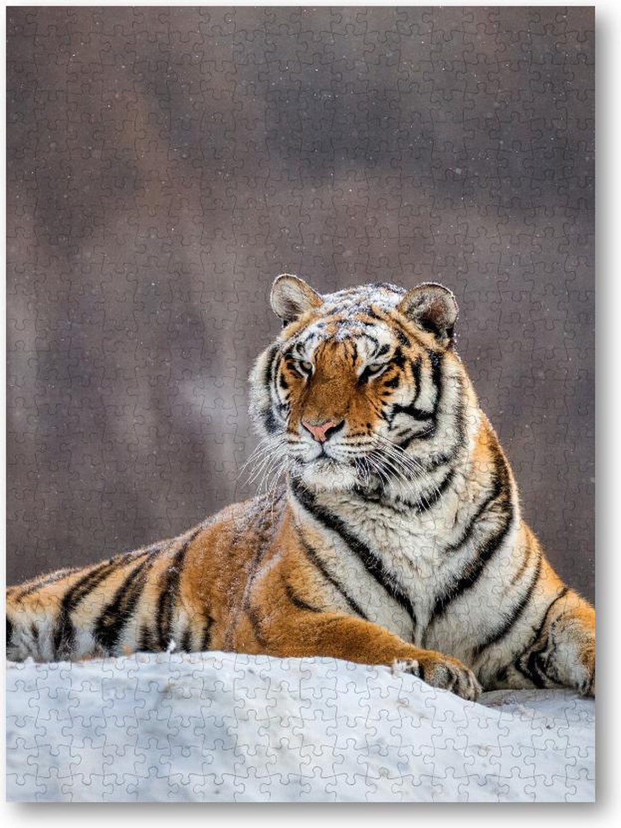 Siberische tijger op een winterse dag - 500 Stukjes puzzel voor volwassenen - Besteposter - Dieren