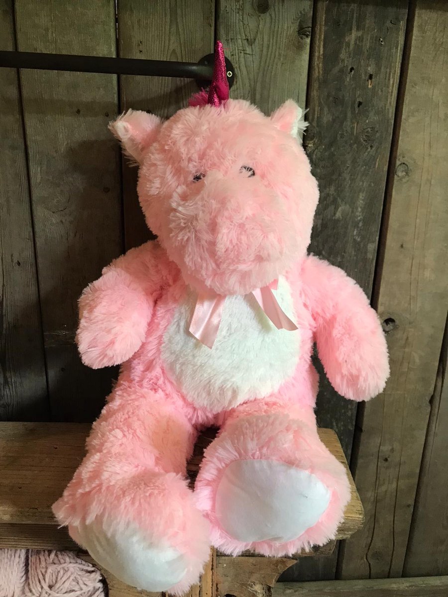 PLuche eenhoorn knuffel 70cm