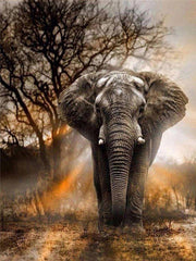 FlinQ Diamond Painting Olifant 30*40cm