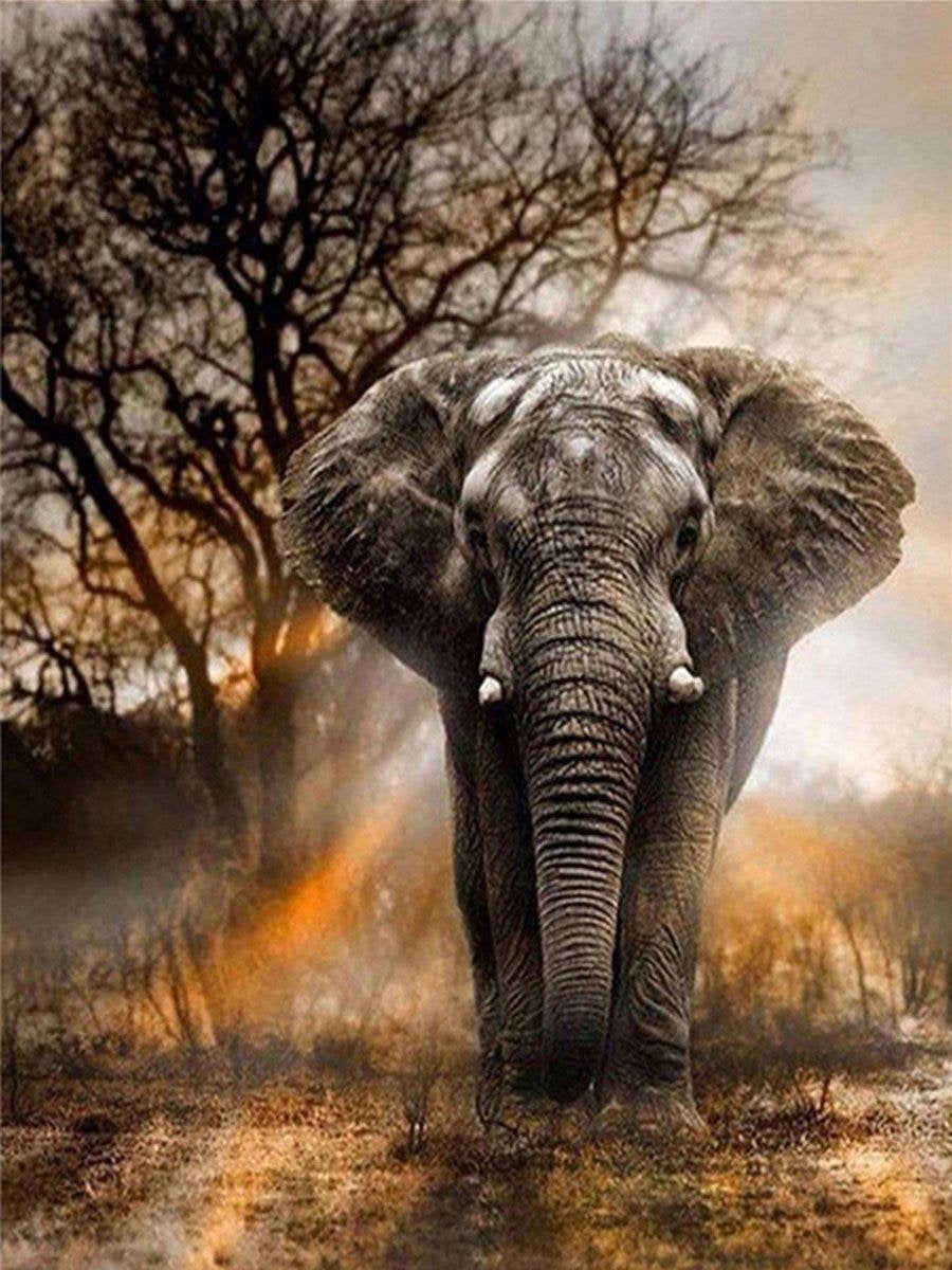 FlinQ Diamond Painting Olifant 30*40cm