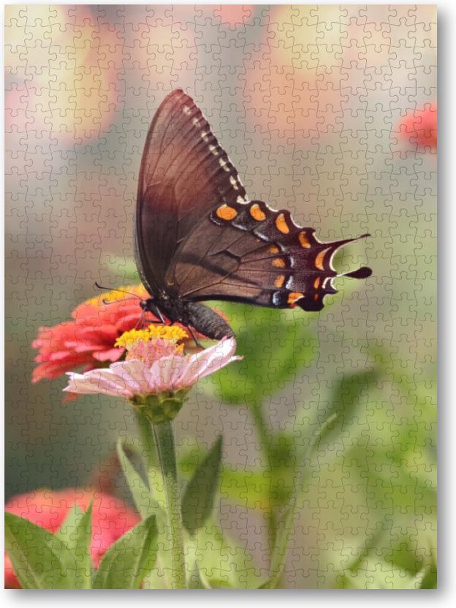 Kleine zwarte satyrium vlinder op een roze bloem - 500 Stukjes puzzel voor volwassenen - Dieren - Natuur - Bloemen