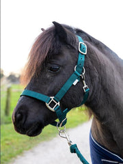 G-Horse | Halsterset met touw | Shetland | Groen