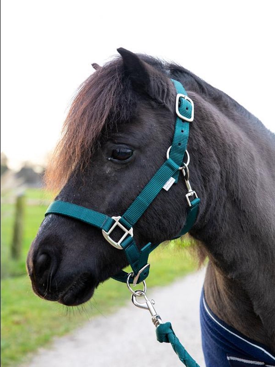G-Horse | Halsterset met touw | Shetland | Groen