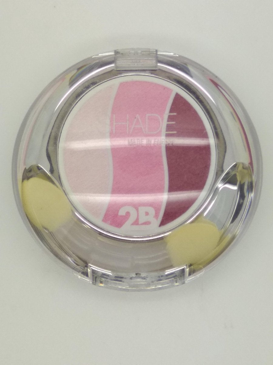 2B  Eye Shadow trio 03