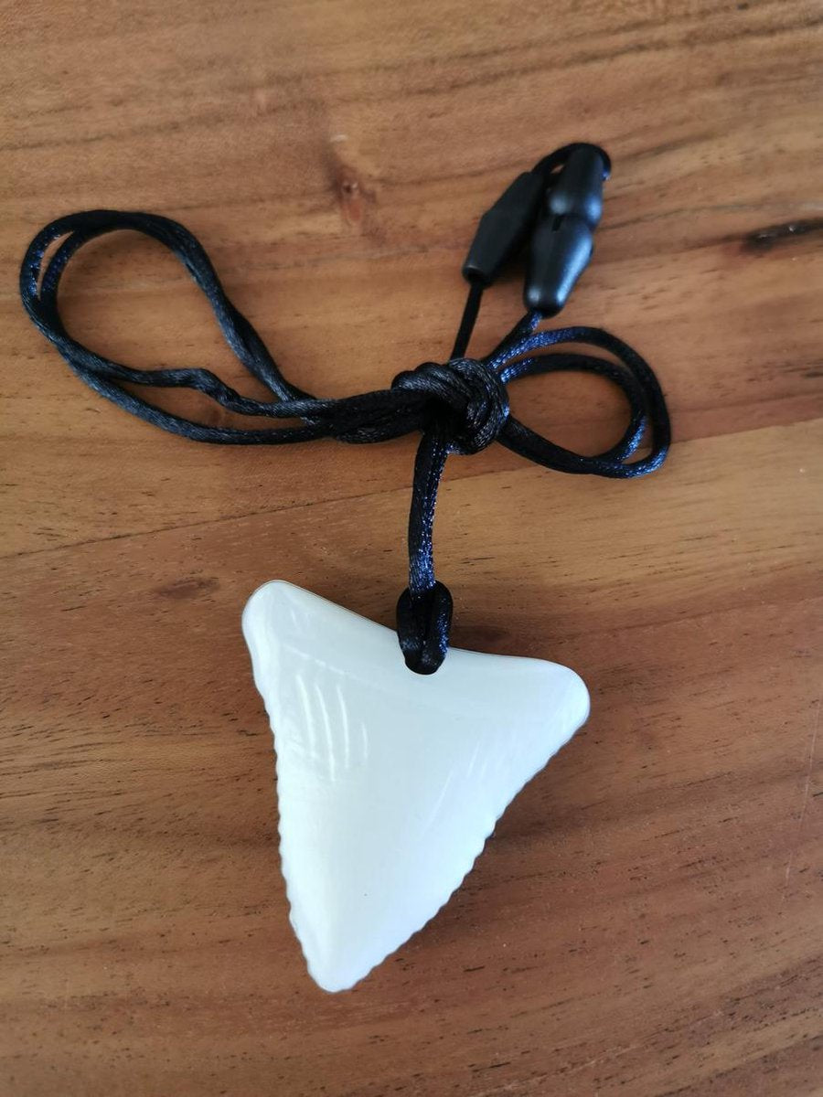 Dino T Tand Rex bijtsteen Dinosaurus  bijtsteen kauw sieraden bijt ring bijt steen ketting voor moeder en kind kauwsieraden ADHD