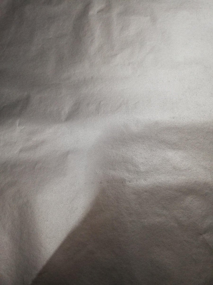 Zijdepapier 50x70cm ZILVER 26 vel in een pak