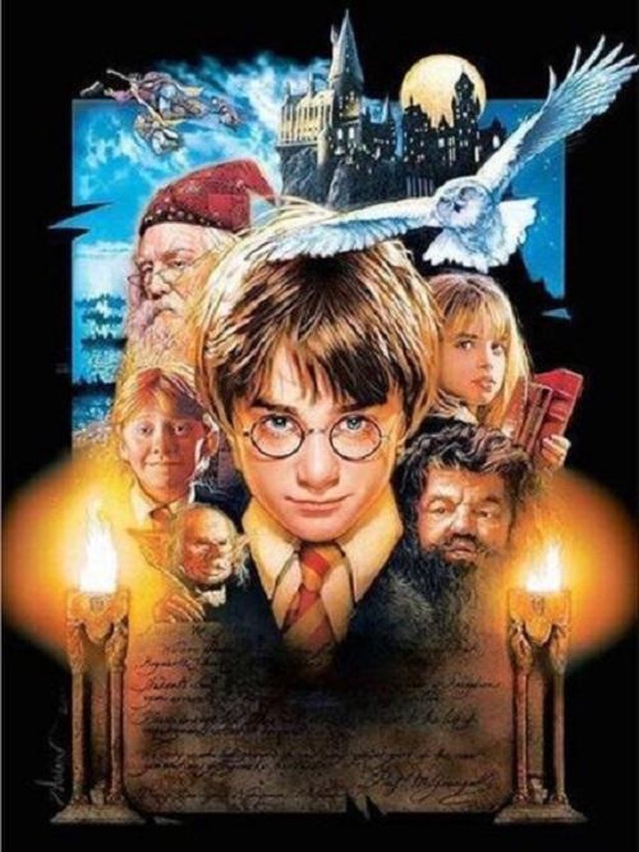 Harry Potter - Diamond Painting - 20x15cm - Complete Set - Inclusief Tools - Stipco