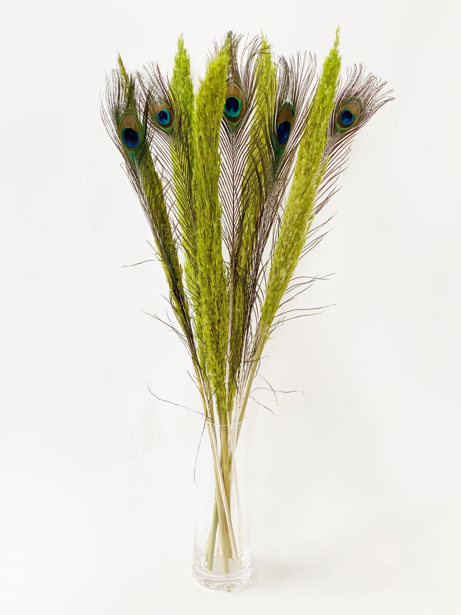 Pampasgras appelgroen| Pampas pluimen appelgroen | Pampas pluimen appelgroen gedroogd | 5 Rietpluimen appelgroen gecombineerd met 5 stuks pauwenveren| Droogbloemen | 90 cm | 10 stuks