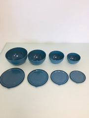 Vershoud dozen set (4 stuks) blauw