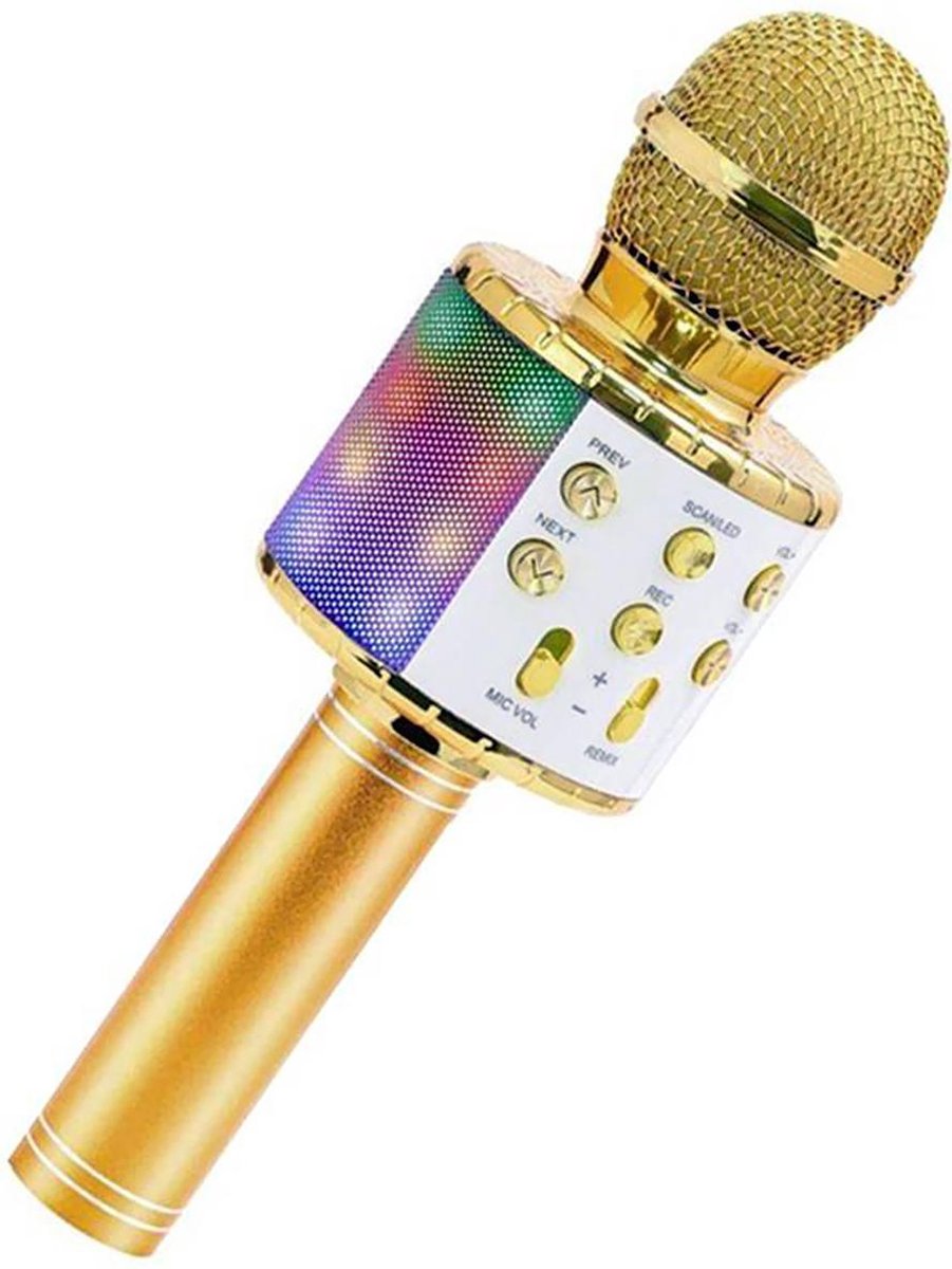 Karaoke Microfoon 4 in 1 met Bluetooth