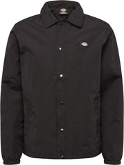 Dickies tussenjas oakport coach Geel-S