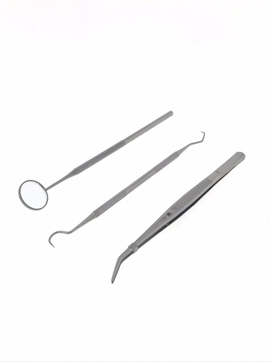 Hofftech Inspectieset - RVS - 3 Delig
