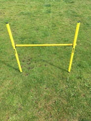 Taktisport Hordenset - Voetbaltrainer - 4x horden - Verstelbaar - In draagtas