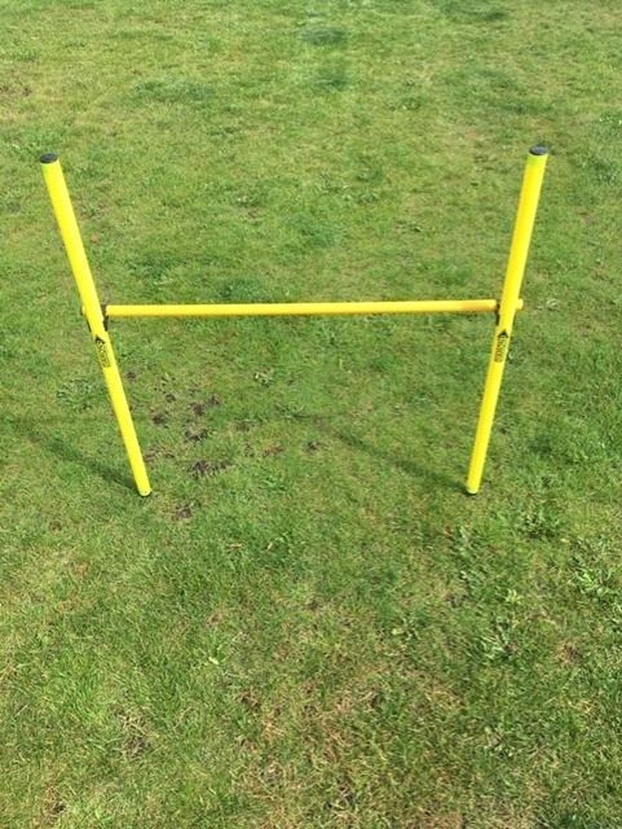 Taktisport Hordenset - Voetbaltrainer - 4x horden - Verstelbaar - In draagtas