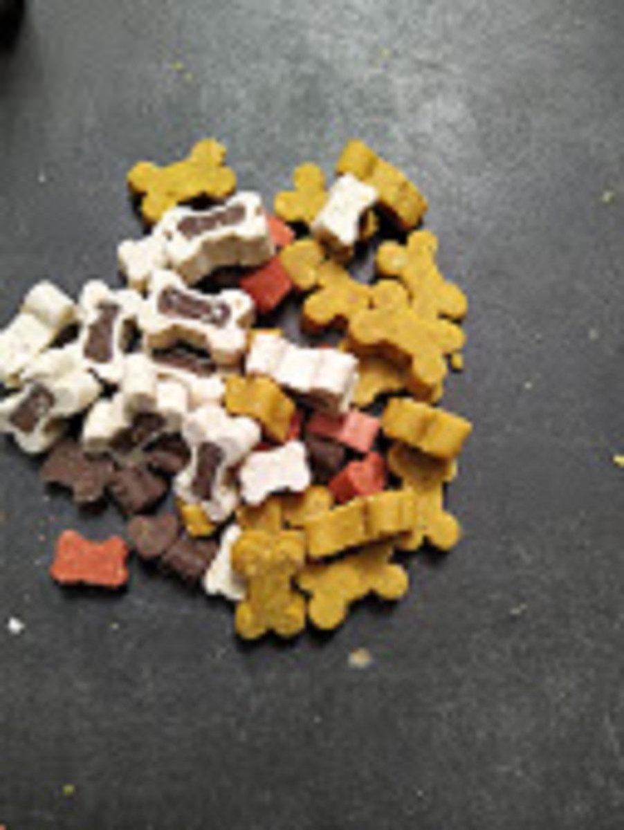 Gemengde Partymix-Snoepmix - Minibones - Zachte snoepjes - Hondensnoepjes - Traktatie voor puppy van de snackmeester 3kg voordeel pak