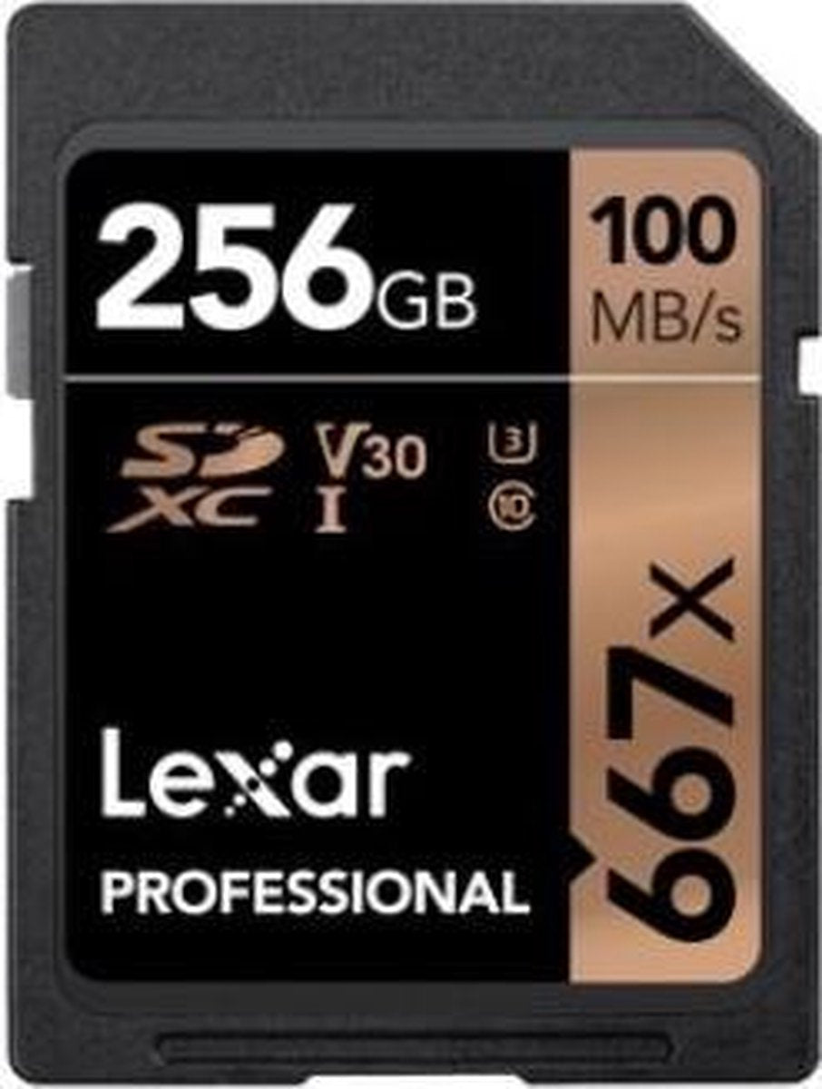 Lexar SDXC Professional UHS-I 667x 256GB