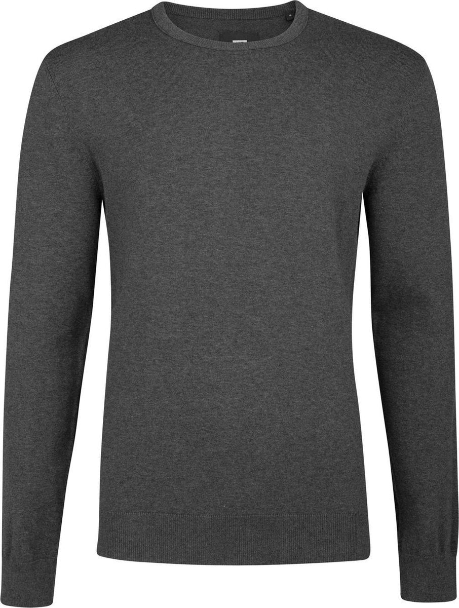 WE Fashion Heren fijngebreide trui van katoenmix - Maat XS