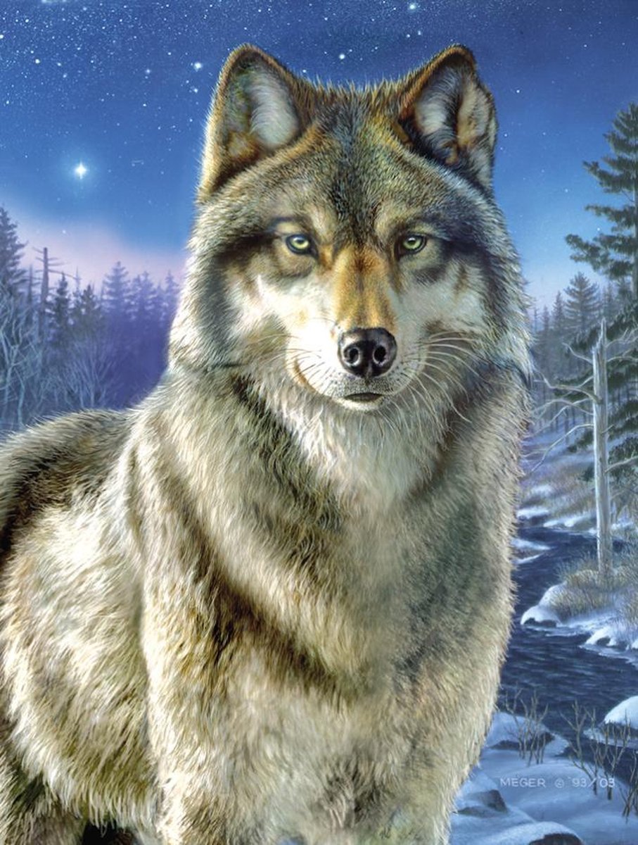 Schilderen op nummer Wolf Mammut