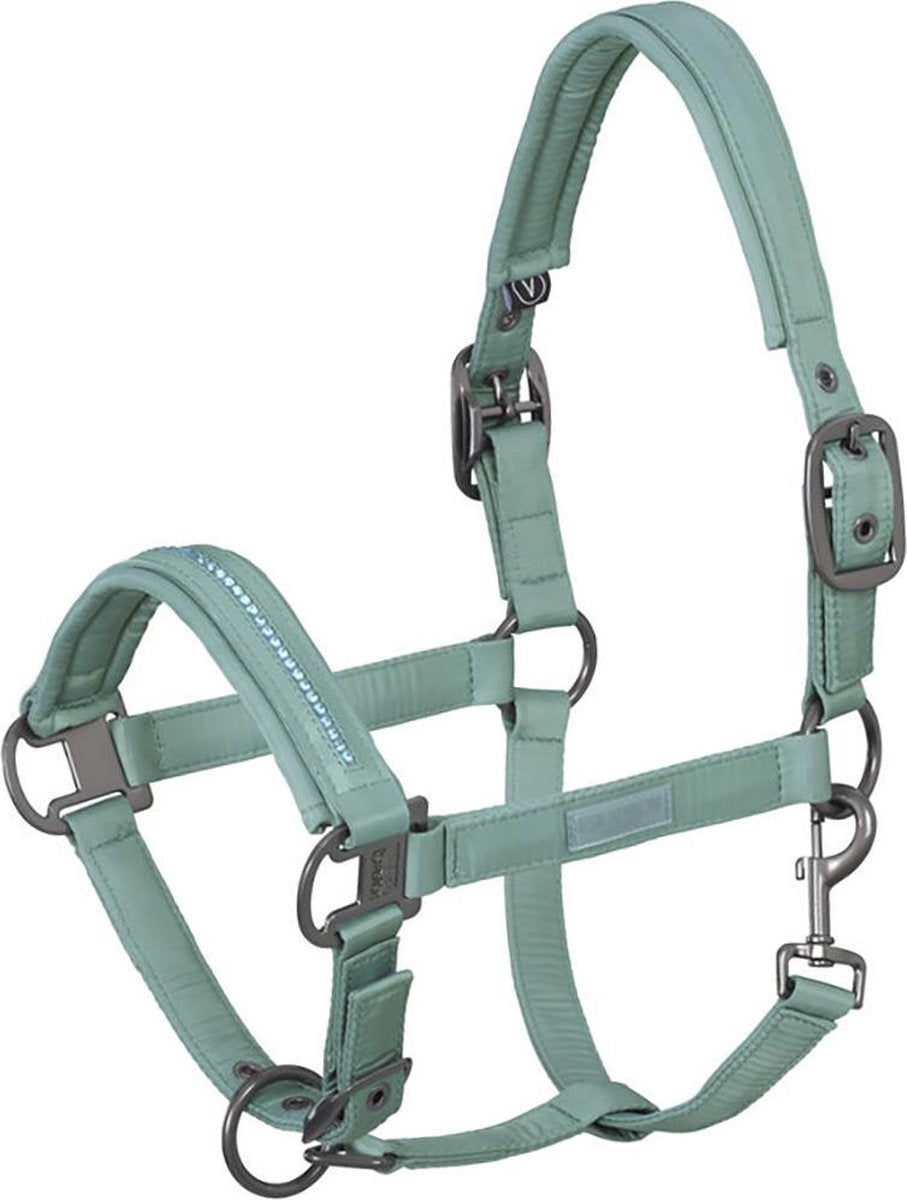 Eskadron Halster  Classic Double Pin Glossy Crystal - Green - cob