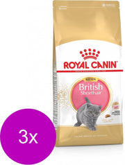 Royal Canin British Shorthair Kitten - Kattenvoer - 3 x 2 kg
