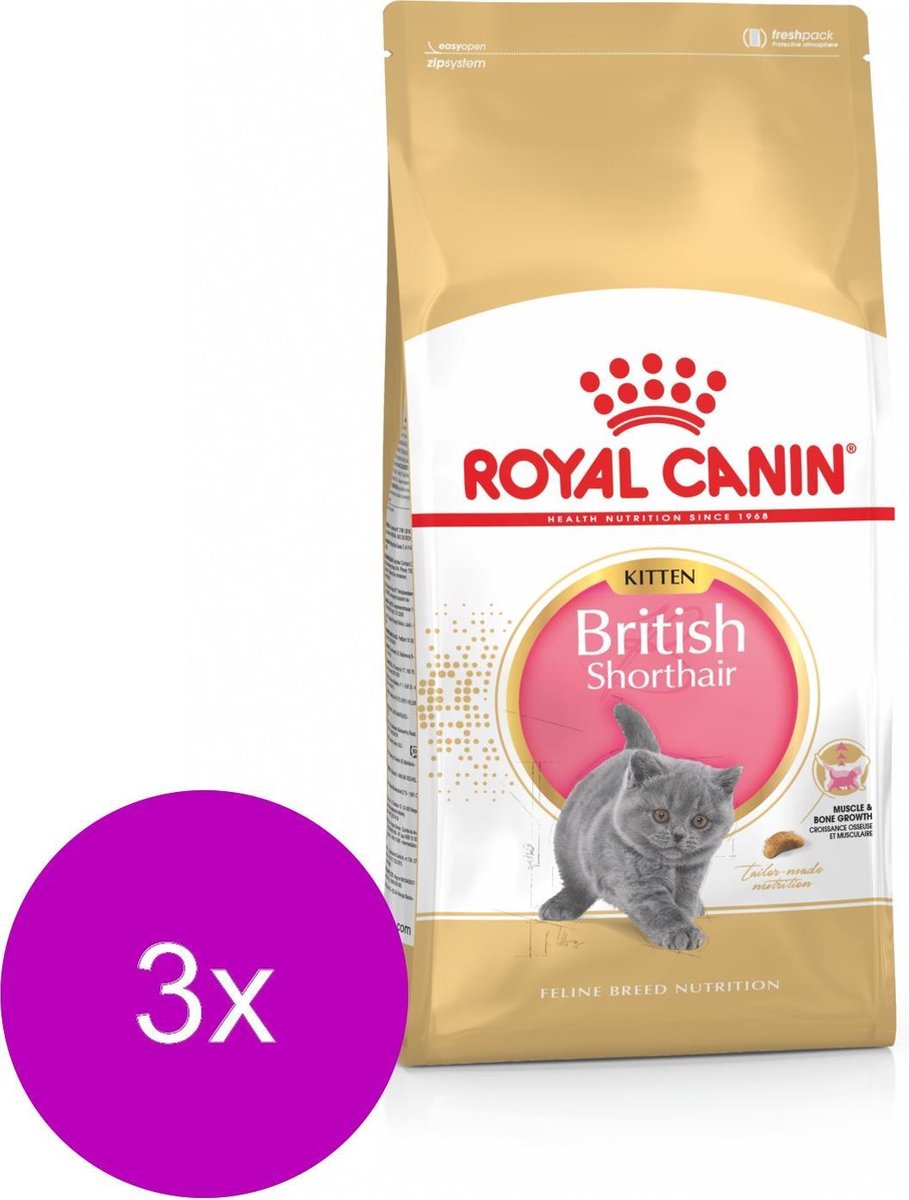 Royal Canin British Shorthair Kitten - Kattenvoer - 3 x 2 kg