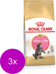 Royal Canin Maine Coon Kitten - Kattenvoer - 3 x 2 kg