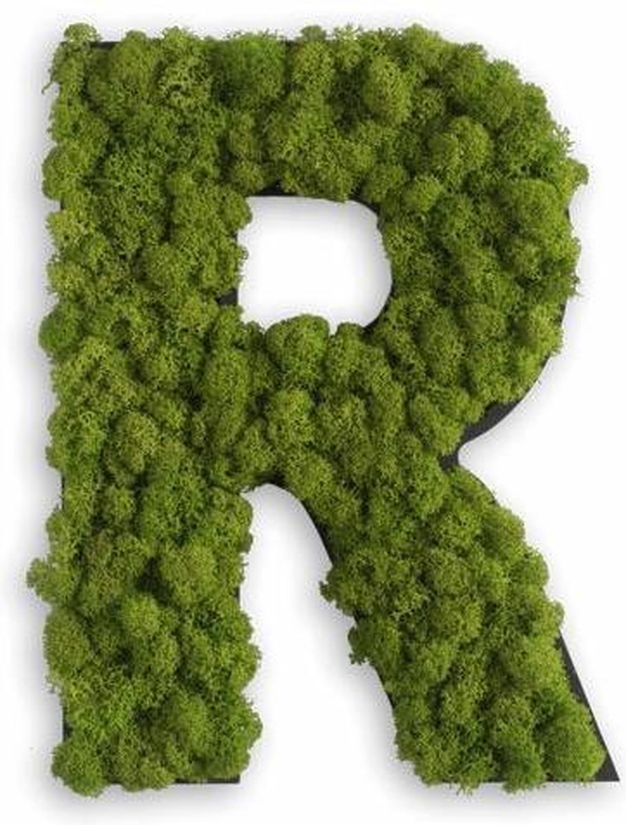 Stylegreen Alfabet letters A t/m Z - Reindeer moss - 25cm