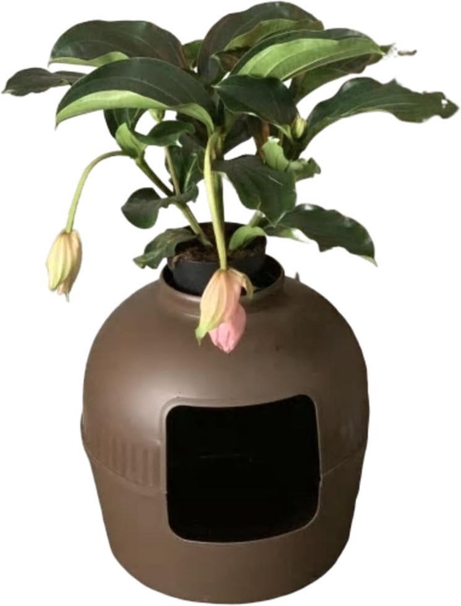 RHRQuality Kattenbak Flower XXL bruin onzichtbare kattentoilet 51Øx55cm