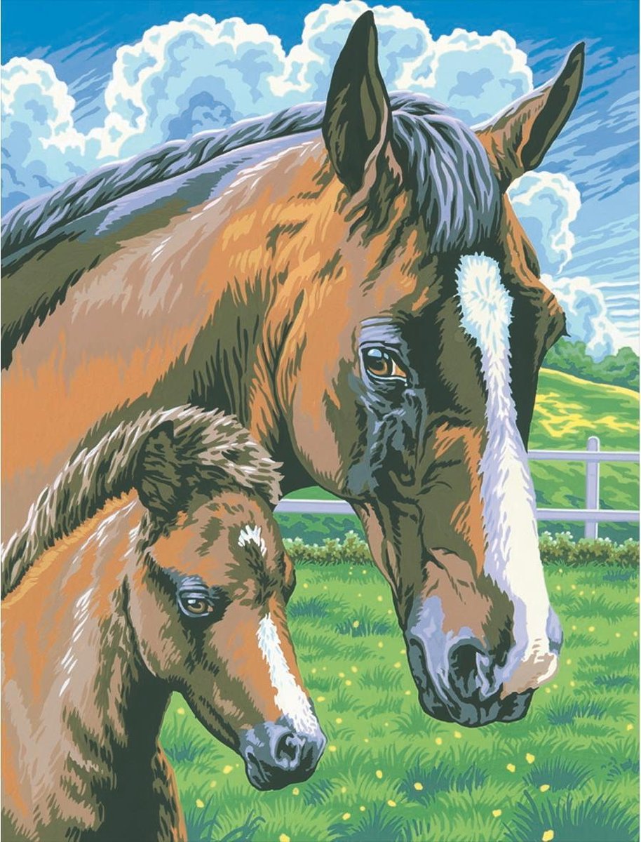 Schilderen Op Nummer - Paard