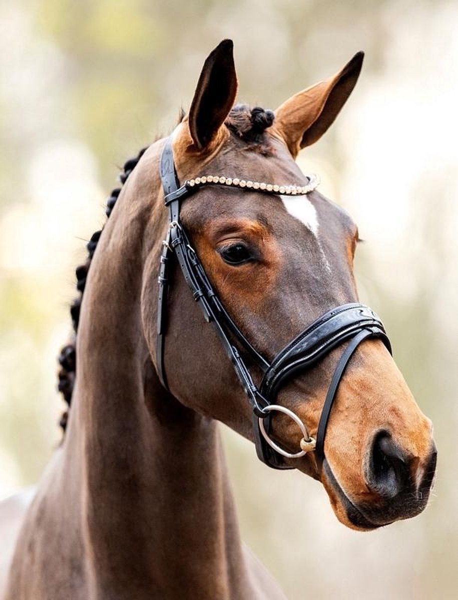 HB Hoofdstel Showtime Rose Gold