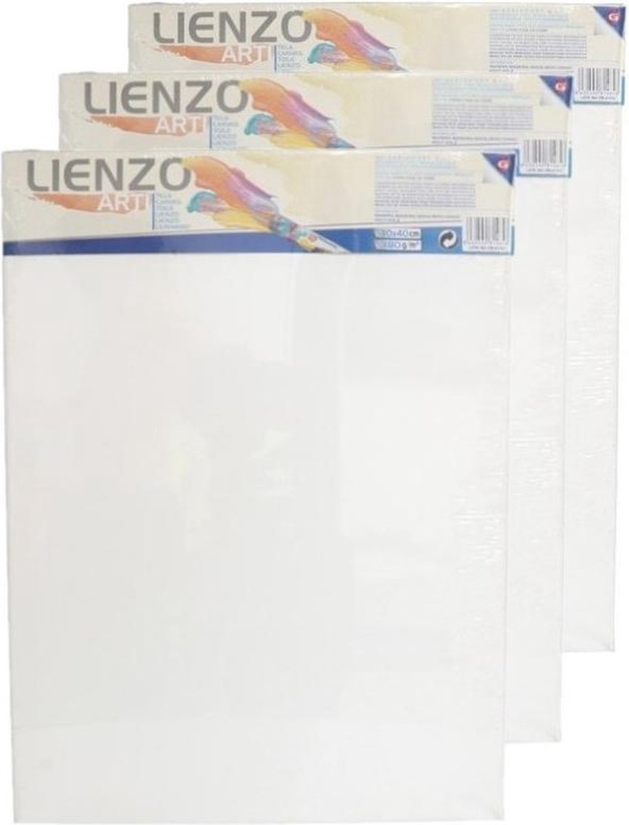 10x stuks canvas schildersdoeken 40 x 30 cm rechthoekig - hobby verven/schilderen - Diy schilderijen maken