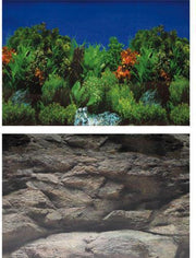 Superfish Deco Poster Nr 2 60 X 49 Cm